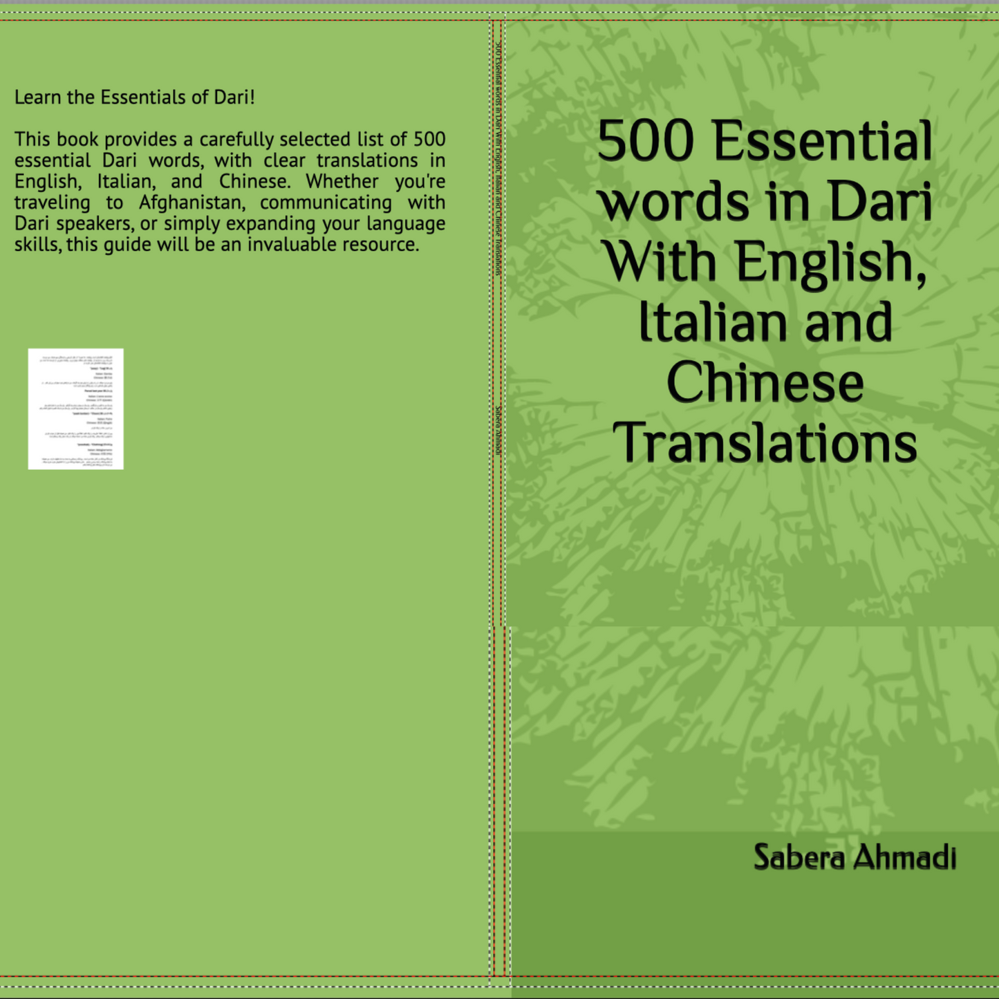 500 Essential Words in Dari with English, Italian, and Chinese translations