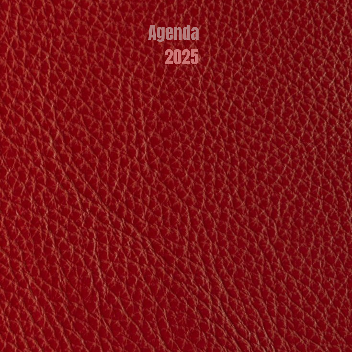Agenda 2025